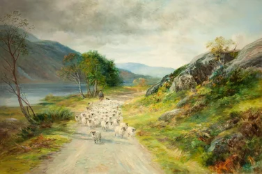 De bergen van Moidart